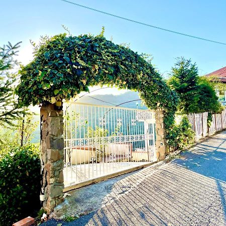 Casa Vacanza Paola Aurigo Ngoại thất bức ảnh