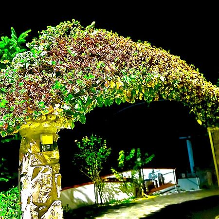 Casa Vacanza Paola Aurigo Ngoại thất bức ảnh